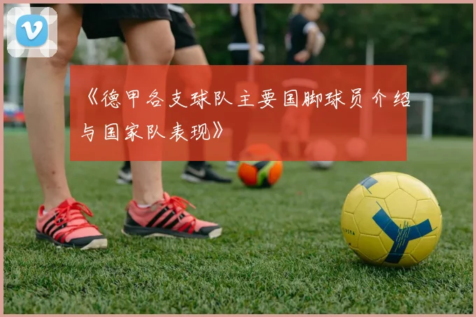 《德甲各支球队主要国脚球员介绍与国家队表现》