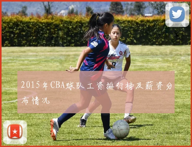 2015年CBA球队工资排行榜及薪资分布情况